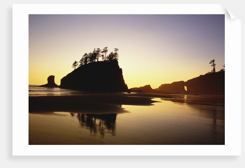 Second Beach in Olympic National Park by Anonymous