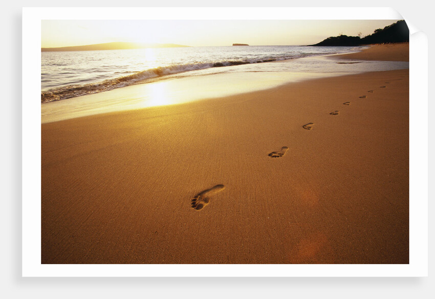 Footprints on Makena Beach by Anonymous