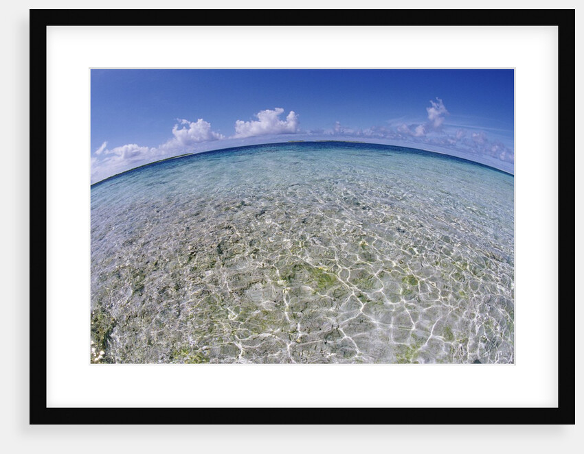 Clear Tropical Waters at Pitcairn Islands by Anonymous