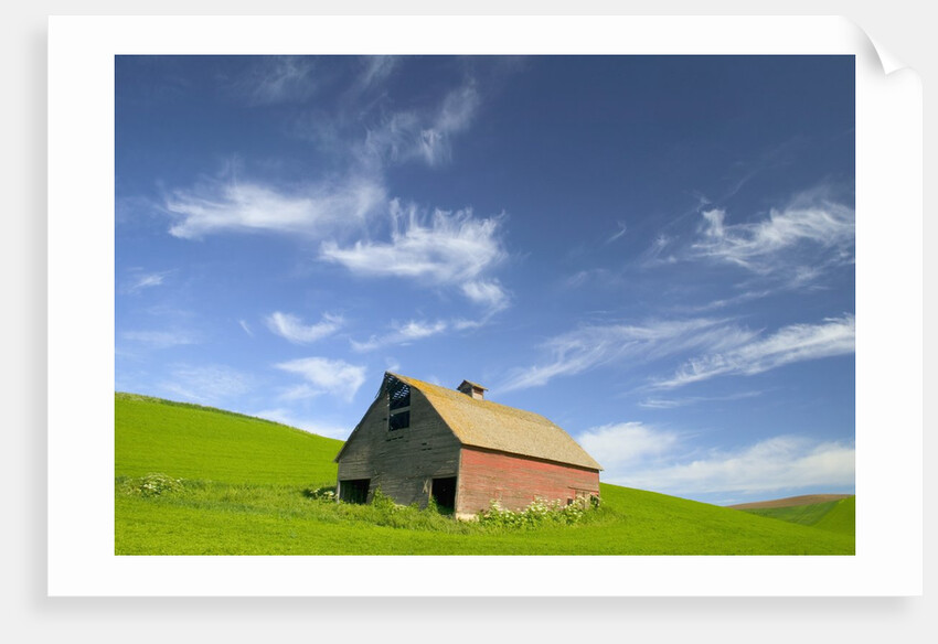 Old Barn in Wheat Field in Eastern Washington by Anonymous