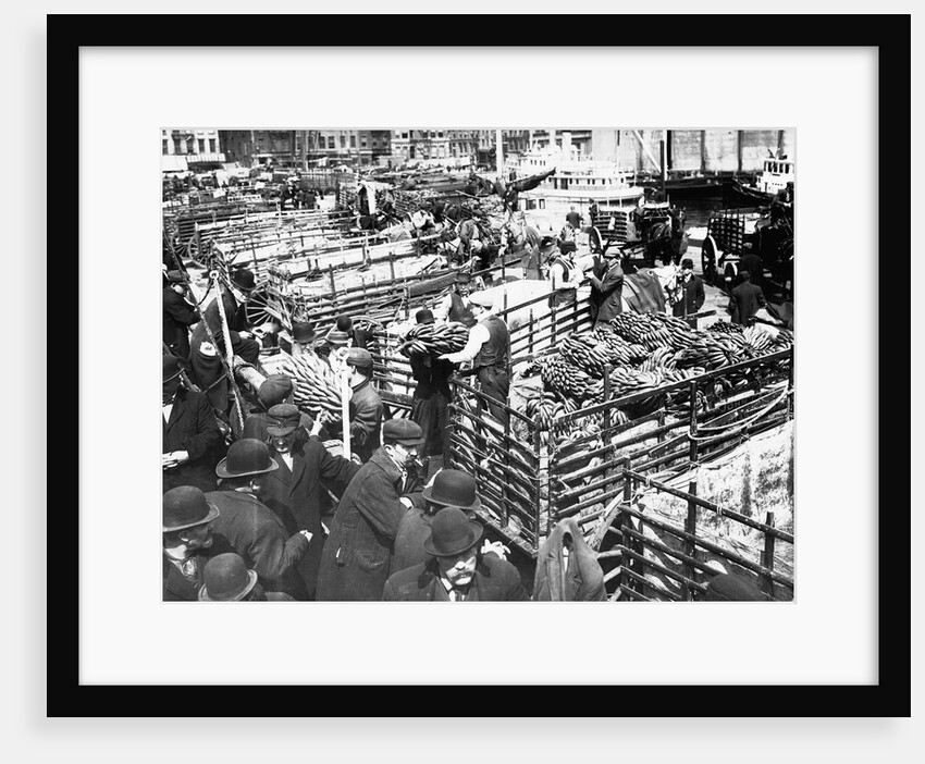 Bananas Arriving at Dock by Anonymous