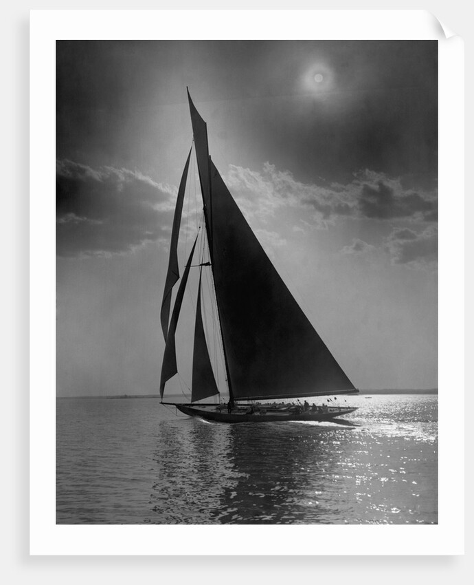 The Vanitie During the America's Cup by Anonymous