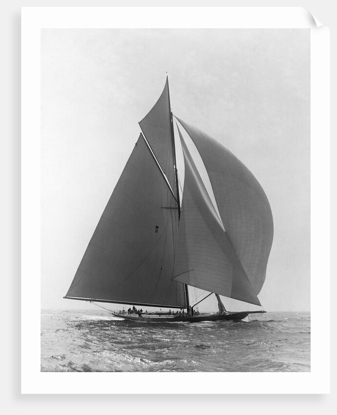 The Vanitie by Anonymous