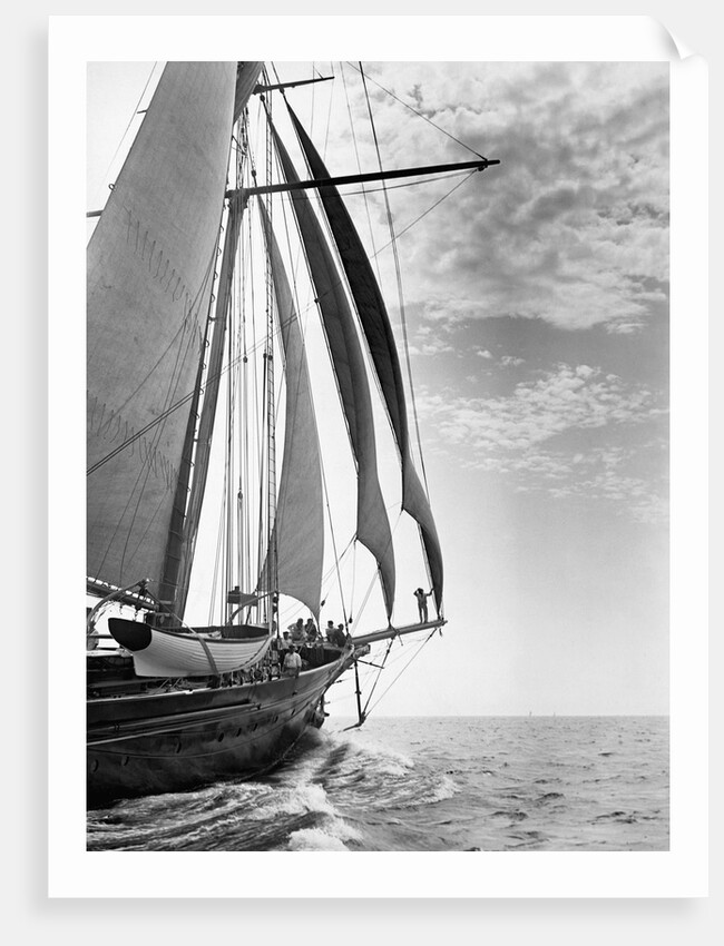 The Guinevere at Sail by Anonymous
