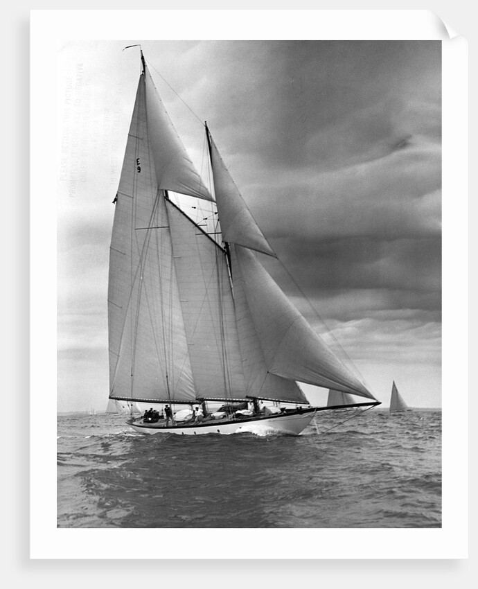 The Queen Mab by Anonymous