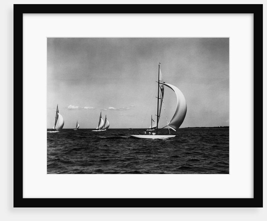 Sailboats Racing in Regatta by Anonymous