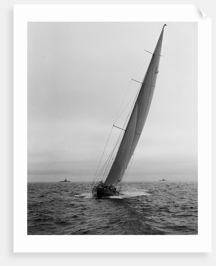 Sailboat Racing in the America's Cup by Anonymous