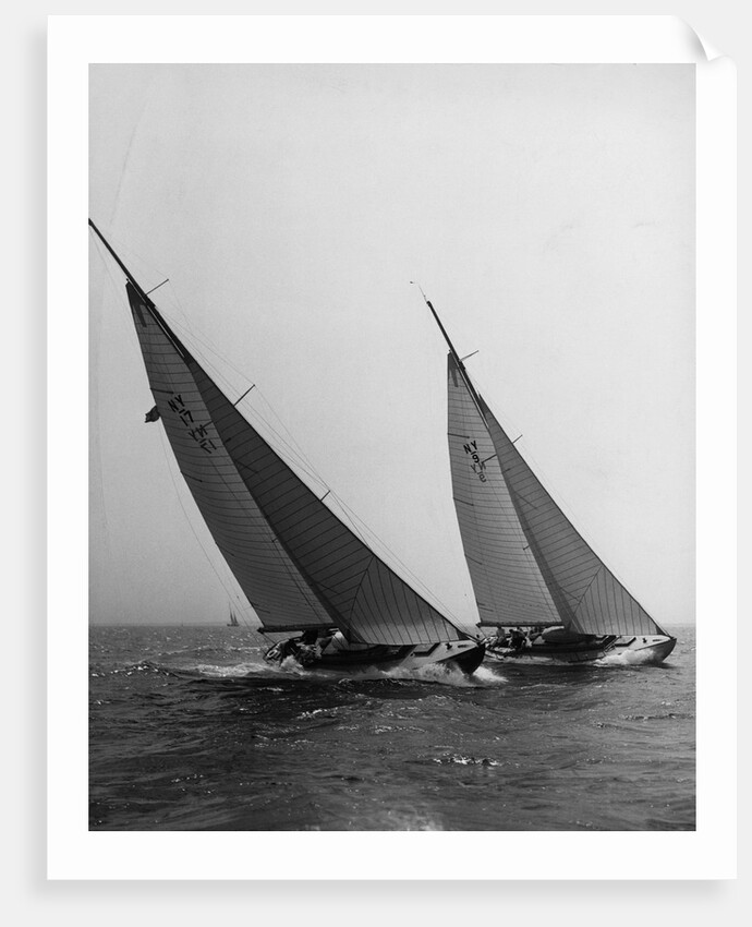 Sailboats Leaning in the Wind by Anonymous