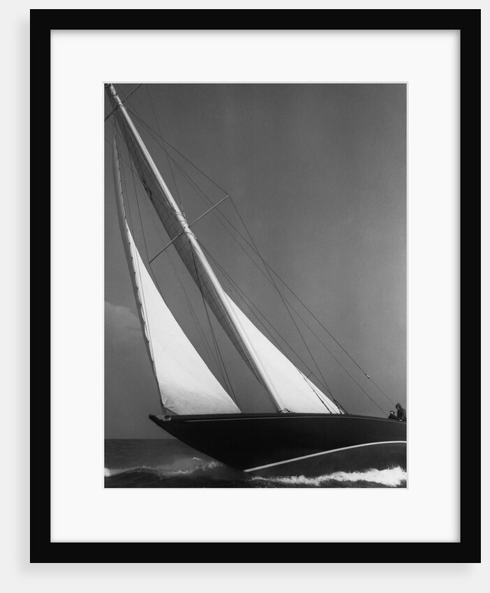 Ibis Yacht Cruising by Anonymous