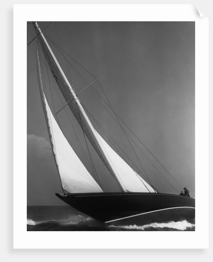 Ibis Yacht Cruising by Anonymous