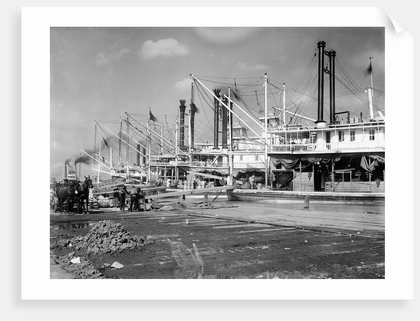Loading Cotton onto Steamships by Anonymous