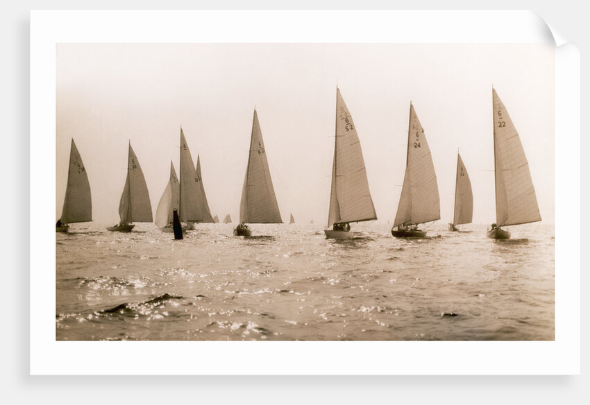Yacht Race by Anonymous