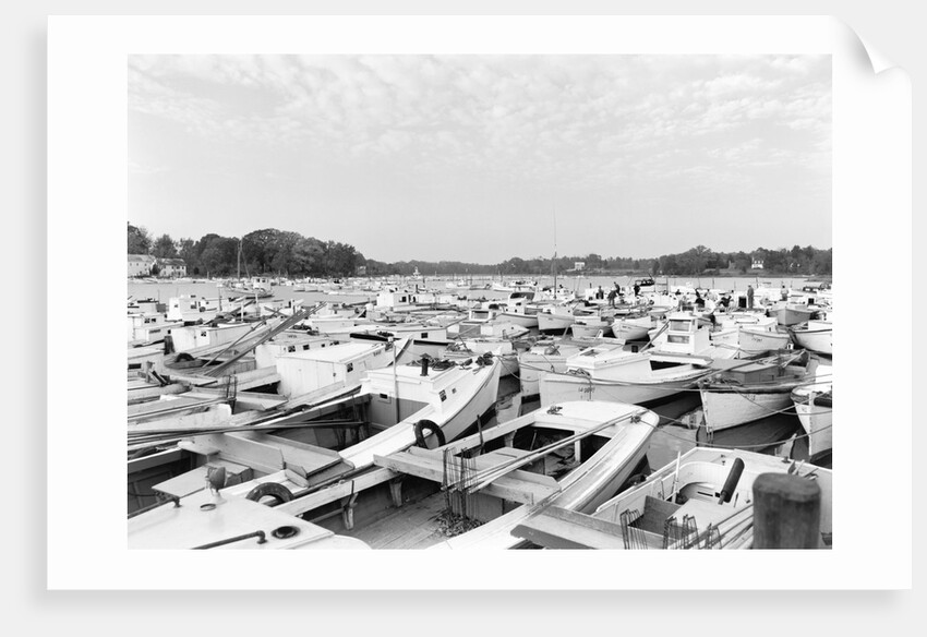 Moored Oyster Boats at Deep Creek by Anonymous