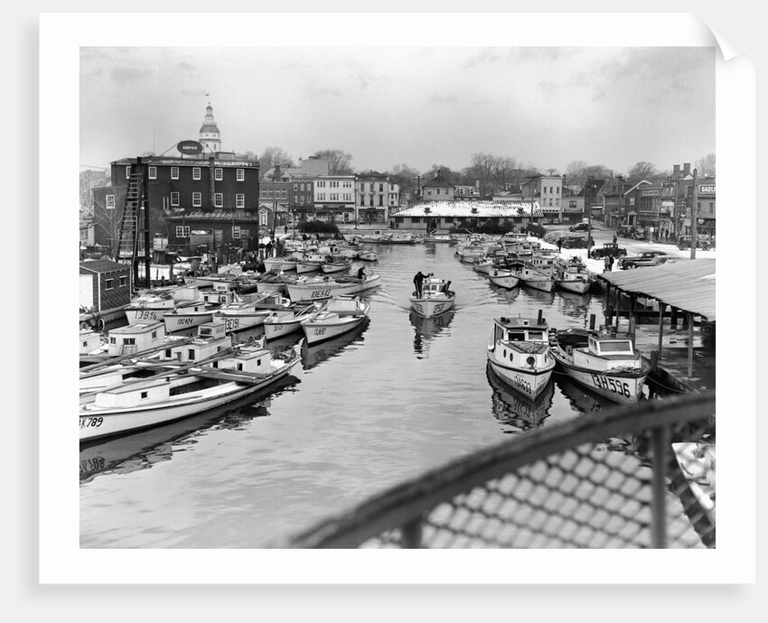 Oyster Boats in a Marina by Anonymous