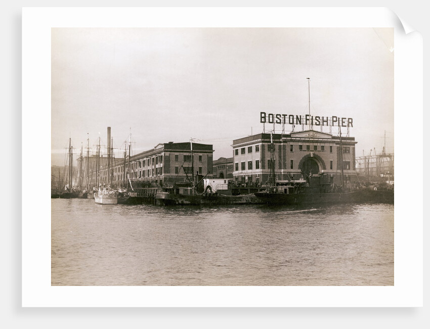 Boston Fish Pier at Waterfront by Anonymous