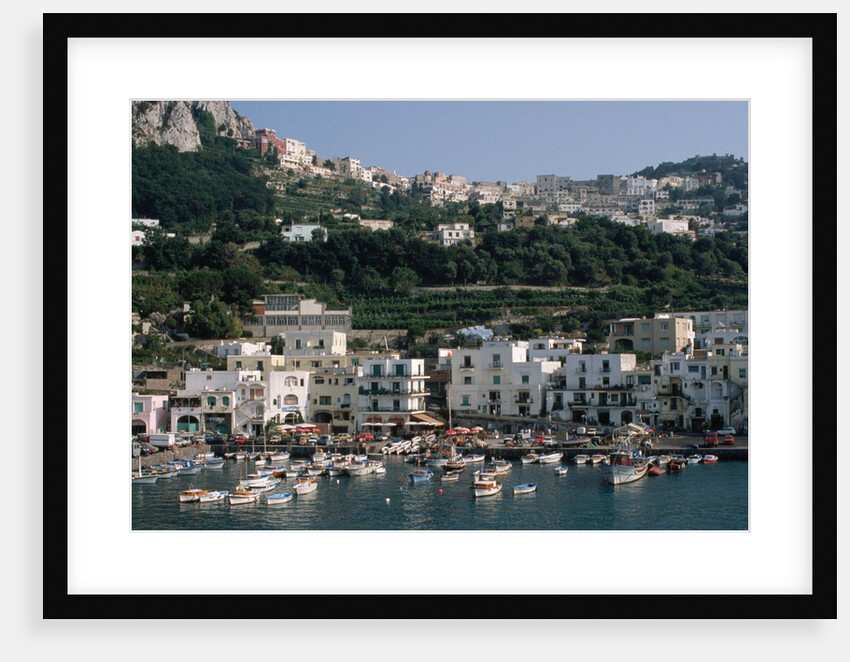 Capri Harbor by Anonymous