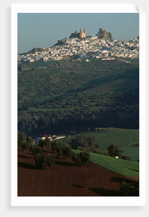 View of Olvera, Spain by Anonymous