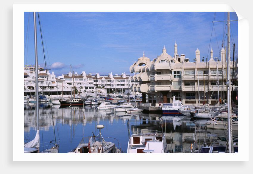 Marbella Marina by Anonymous