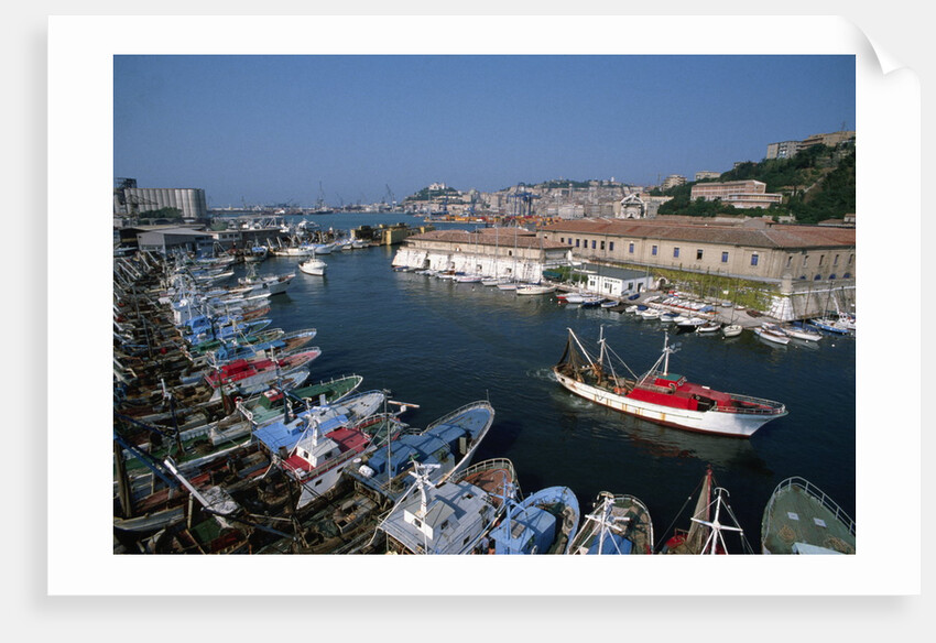 Fishing Boats in Harbor by Anonymous