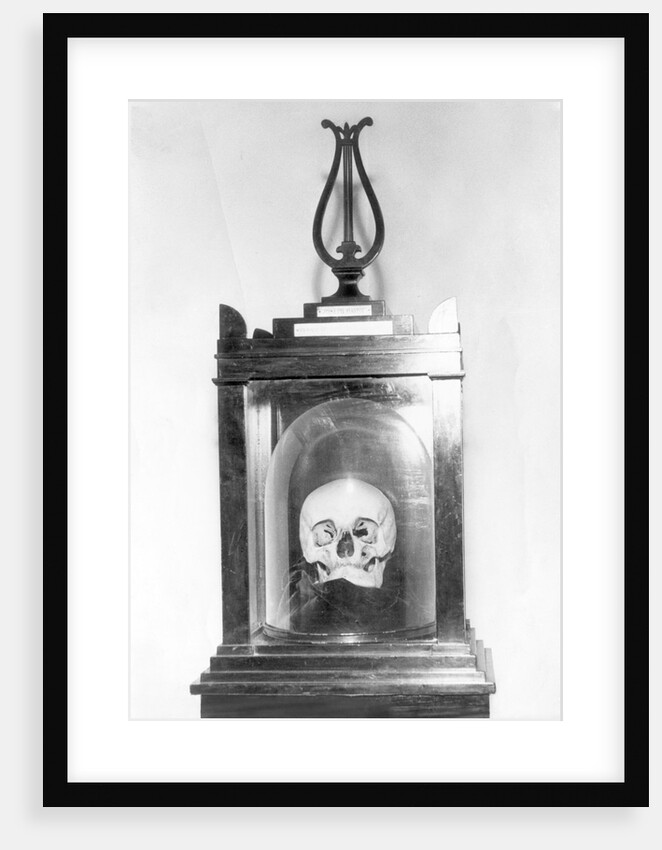 Skull of Composer Franz Josef Hadyn by Anonymous