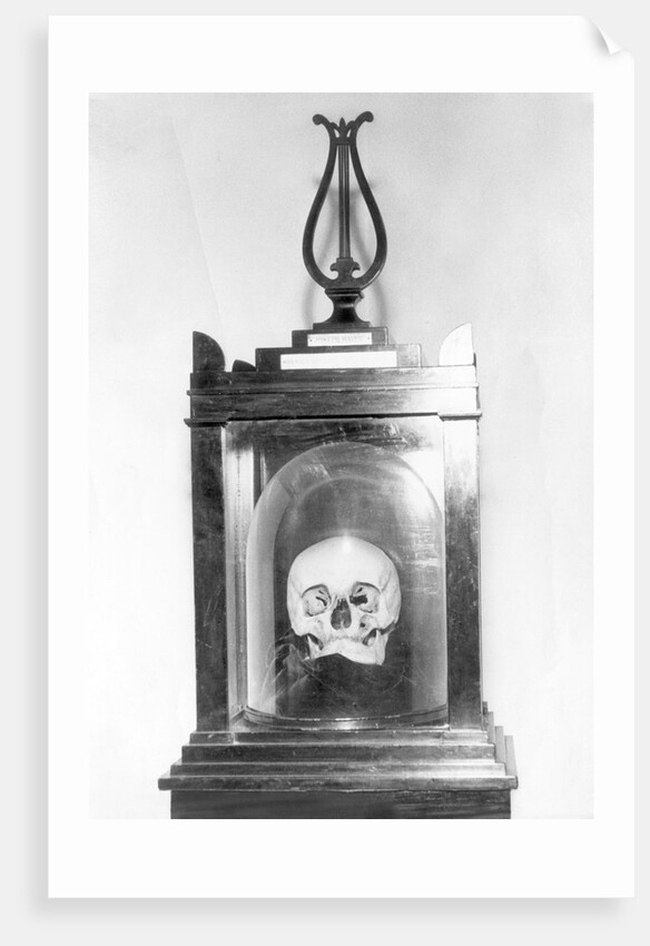 Skull of Composer Franz Josef Hadyn by Anonymous