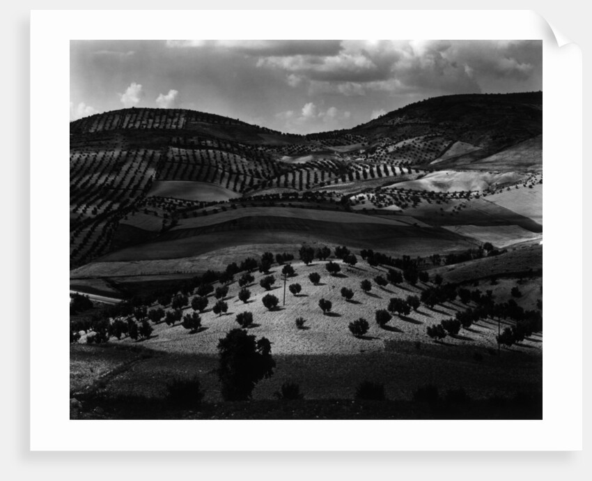 Guatemala Landscape, 1968 by Anonymous