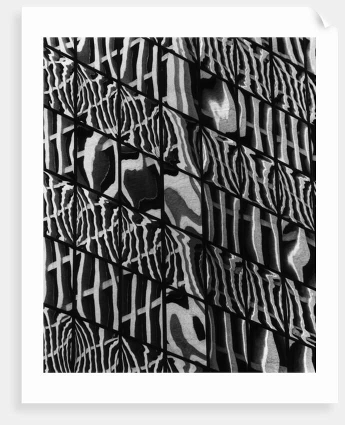 Window Reflections by Anonymous