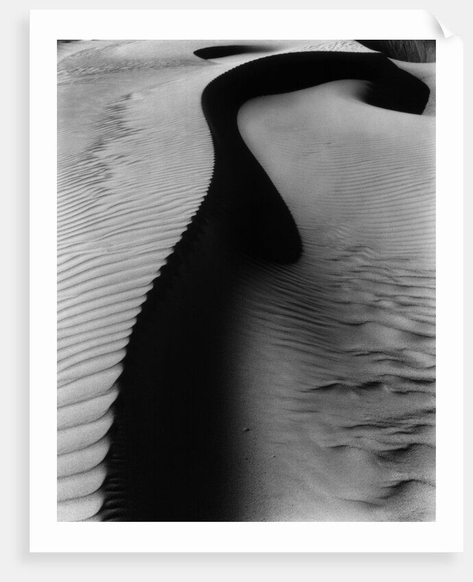 Dune, Oceano by Brett Weston