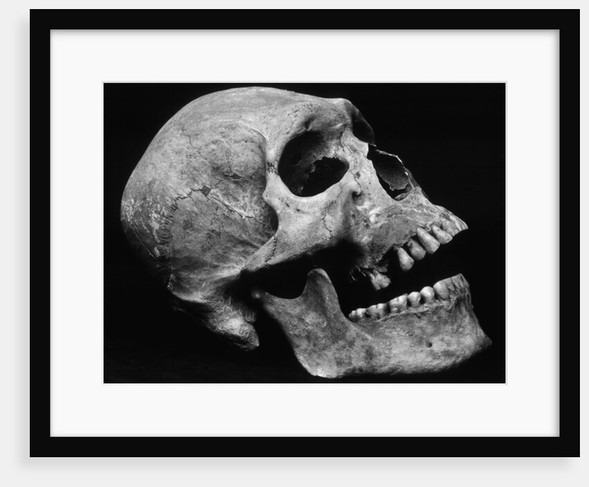 Human Skull by Brett Weston