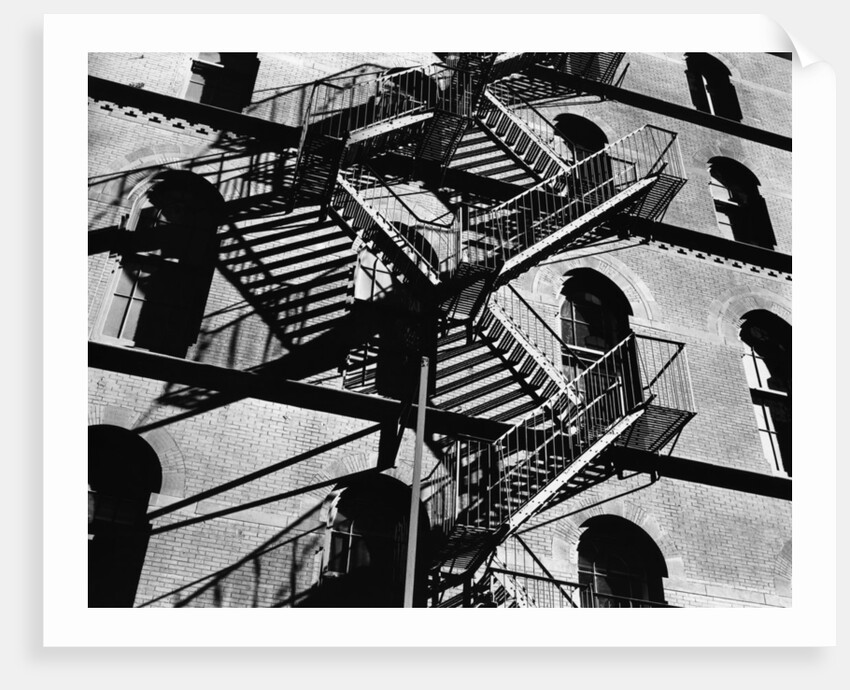 Fire Escapes and Shadows, New York, 1944 by Anonymous