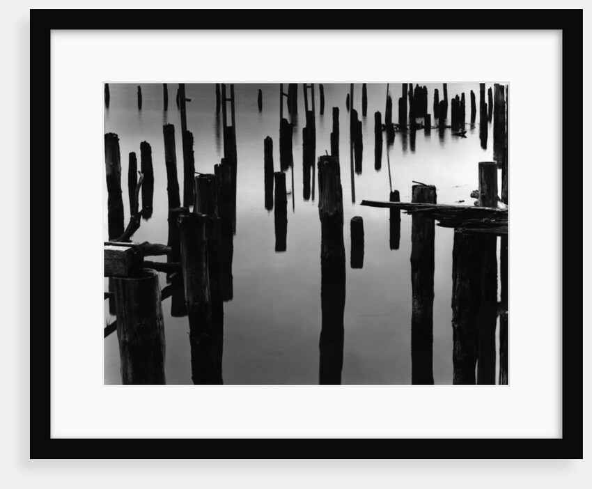 Piles in Fog, 1968 by Anonymous