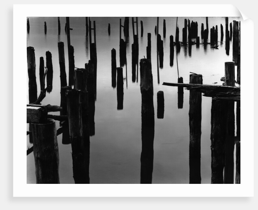 Piles in Fog, 1968 by Anonymous