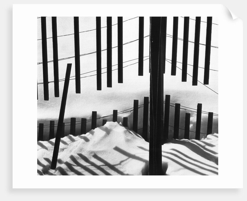 Fence in Snow, 1972 by Anonymous