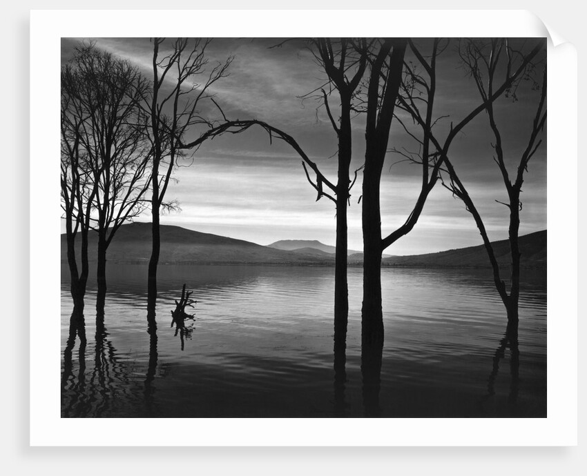 Lake Patzcuaro, Mexico 1976 by Anonymous