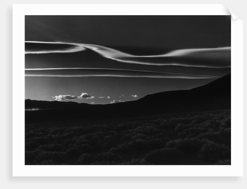 Desert Prairie, 1981 by Anonymous