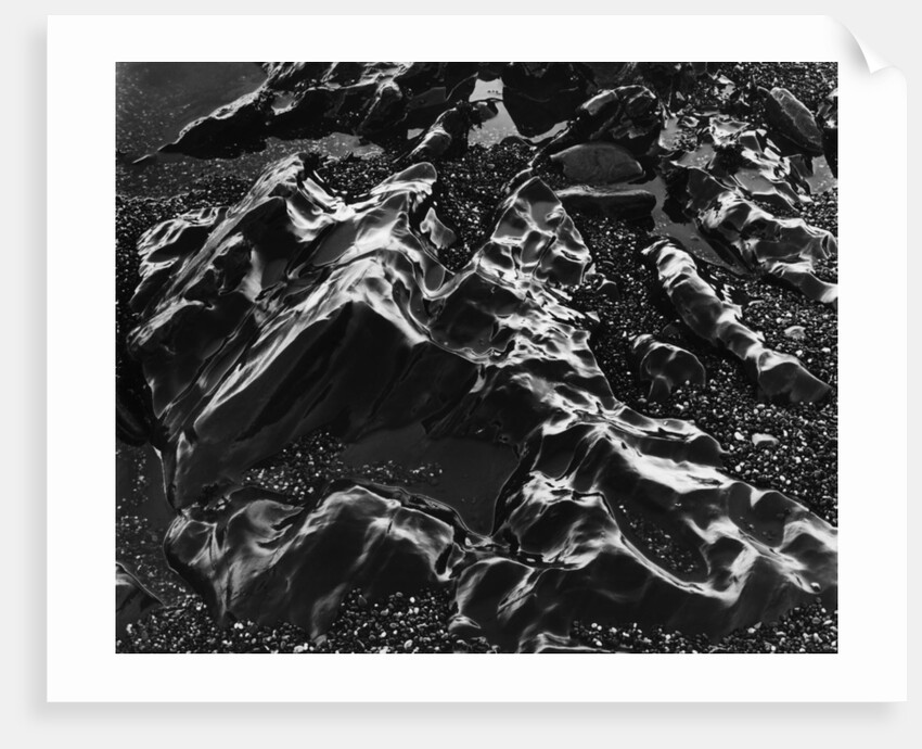 Wet Beach Rock Formations by Anonymous