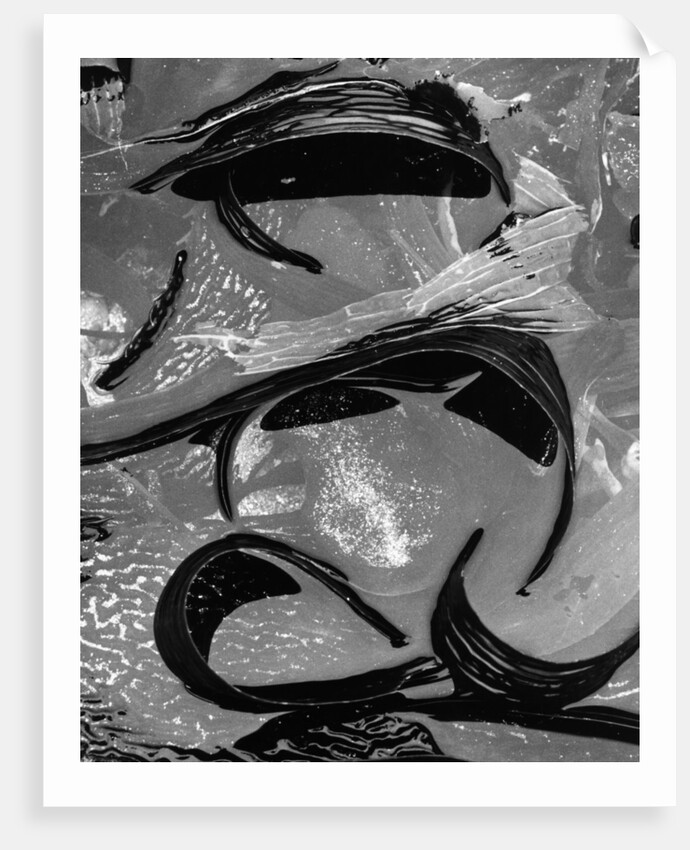 Tide Pool by Brett Weston