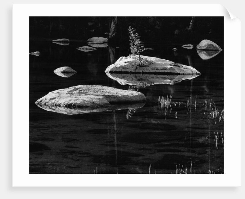 Rocks in a Shallow Lake by Brett Weston