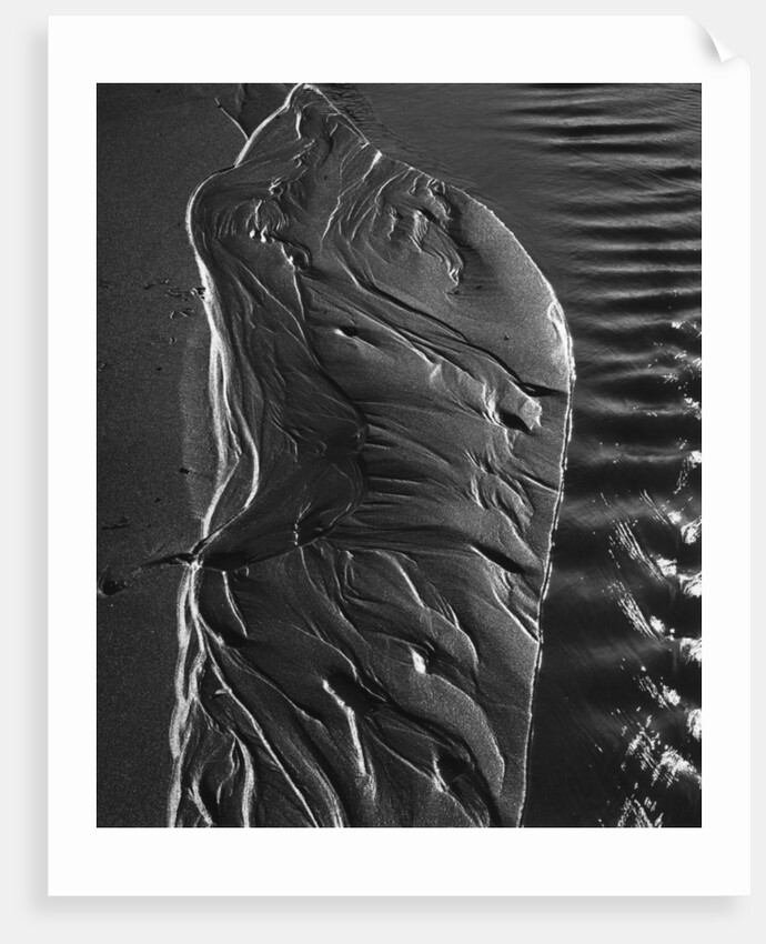 Beach Stream by Brett Weston