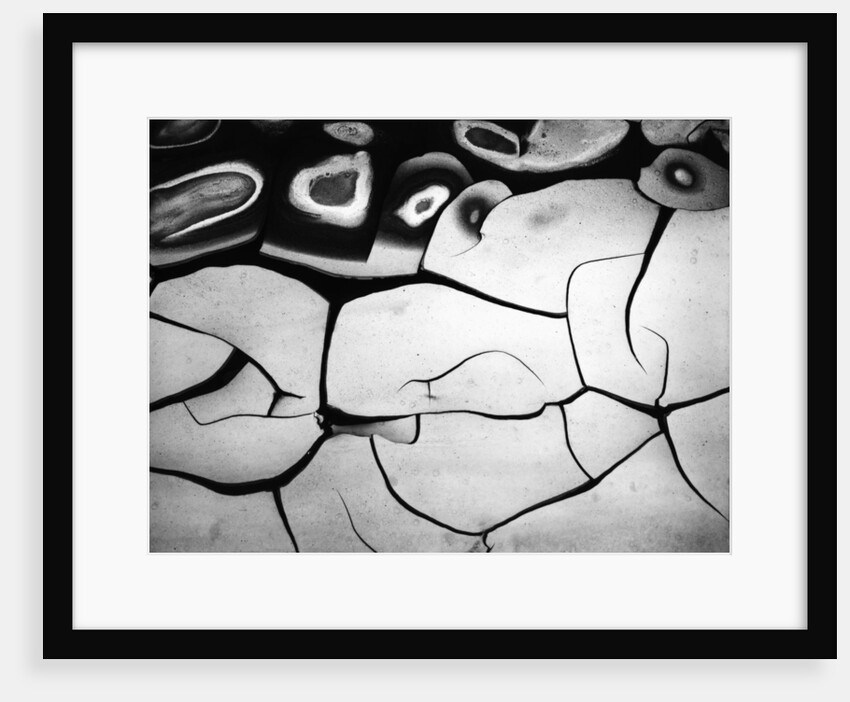 Cracks in Mud by Anonymous