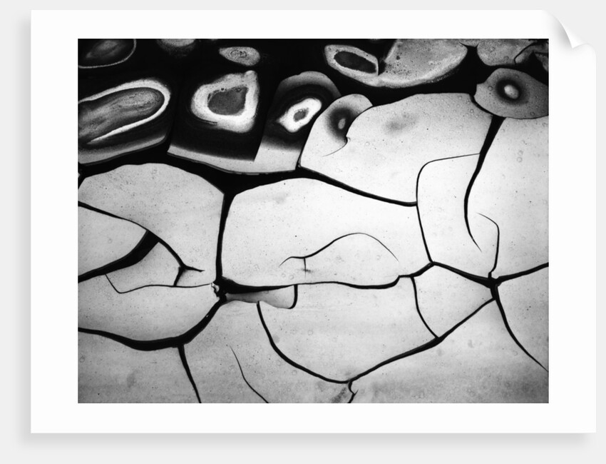 Cracks in Mud by Anonymous