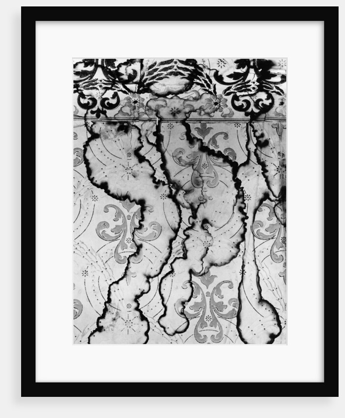 Stained Wallpaper by Anonymous