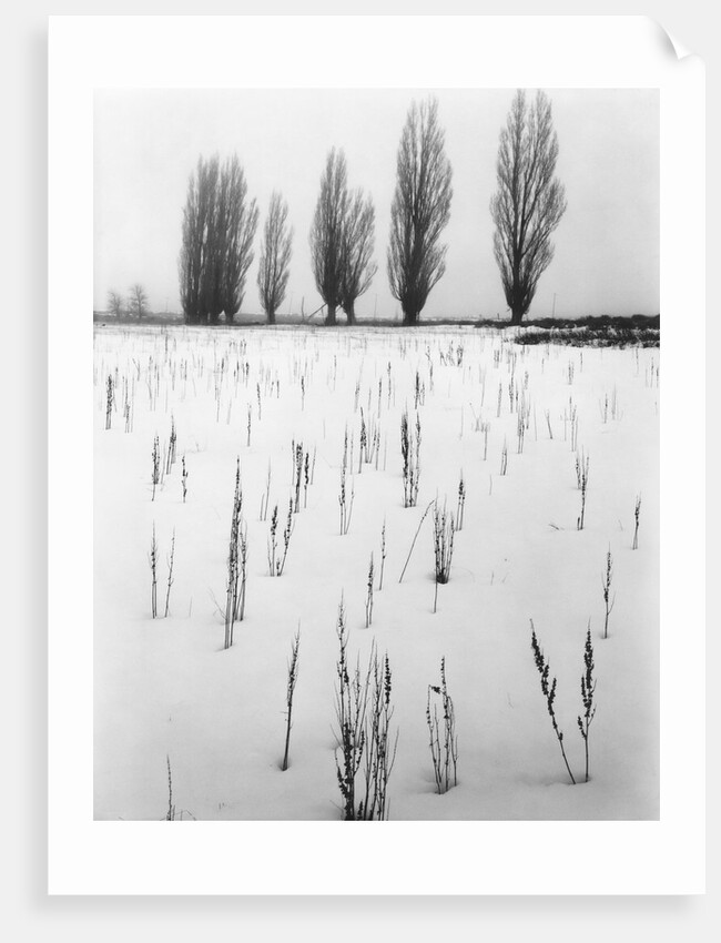 Snowy Landscape by Anonymous