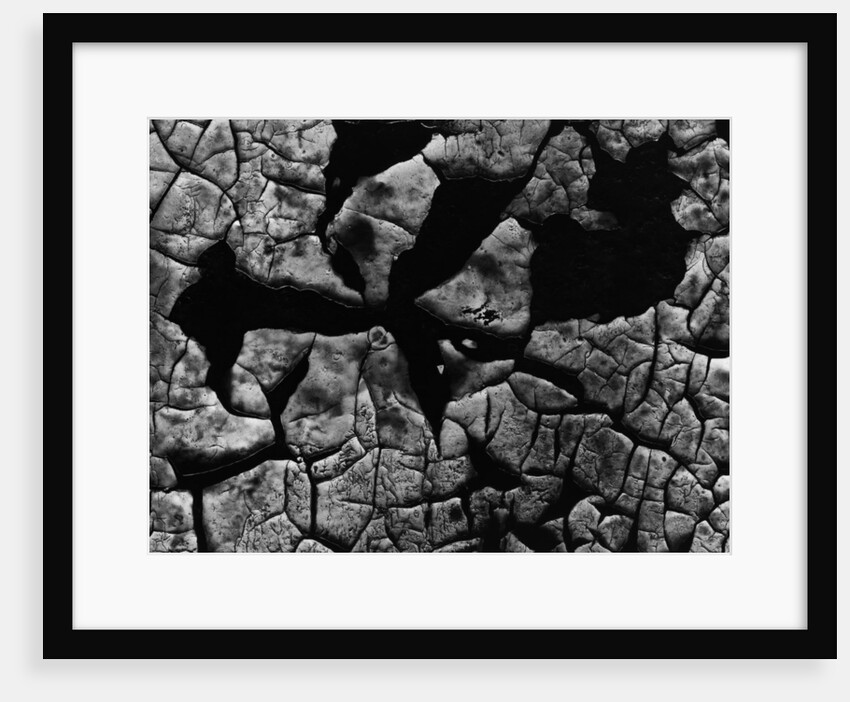 Cracked Surface by Anonymous