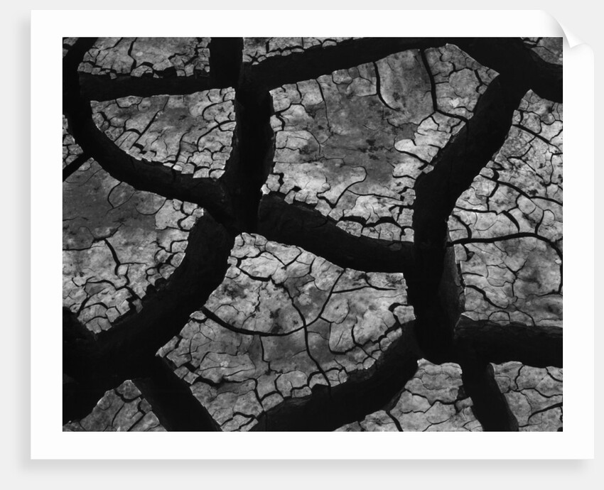 Cracks in Dried Mud by Anonymous