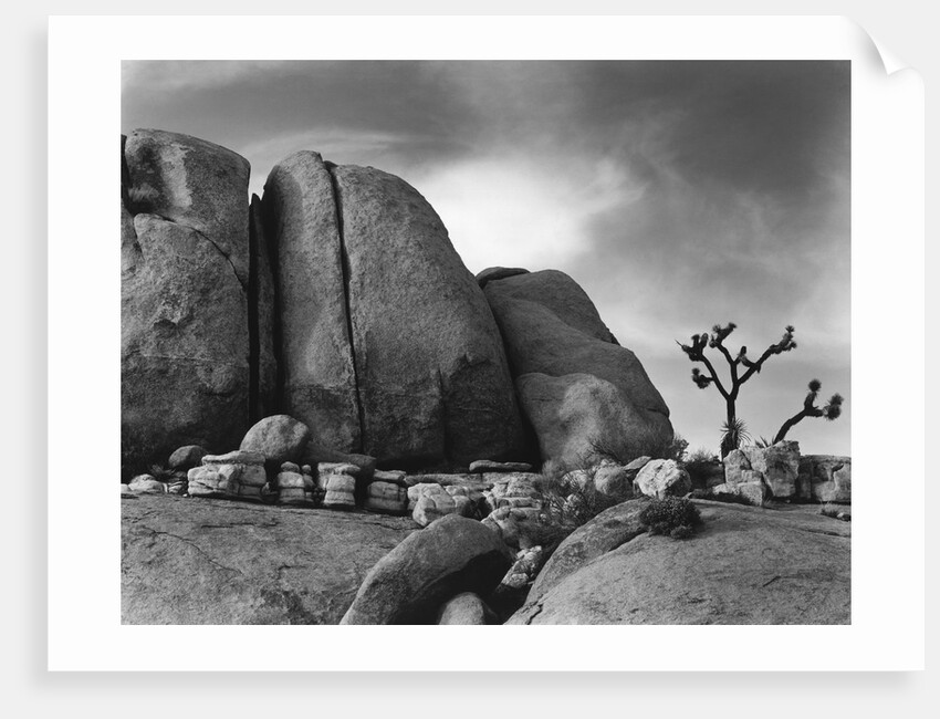 Desert Boulders by Anonymous