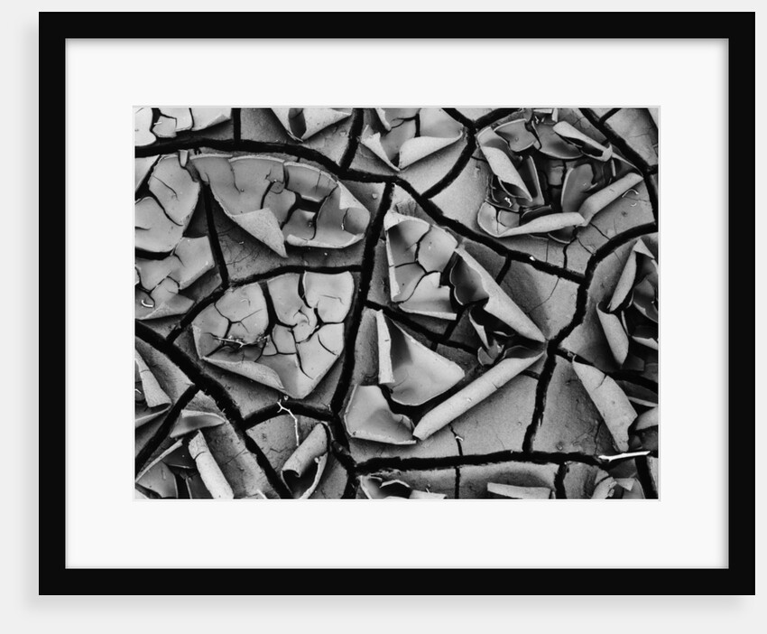 Mud Cracks by Brett Weston