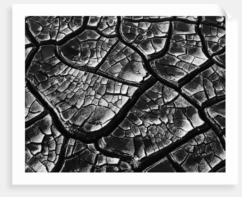 Dry Cracked Mud by Anonymous