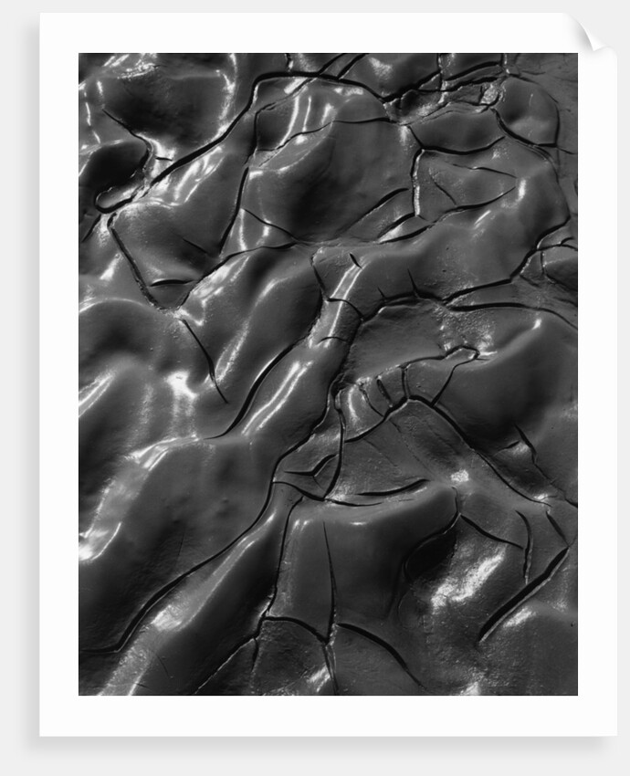Shiny Wet Mud by Anonymous
