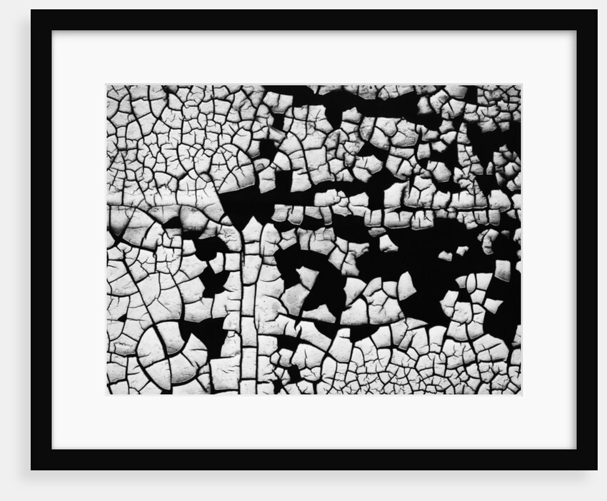 Cracked Paint by Anonymous